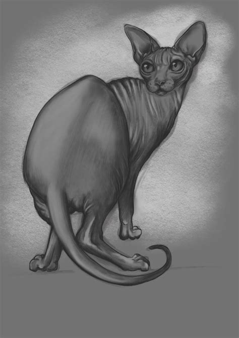 My project in Naturalist Animal Illustration with Procreate course