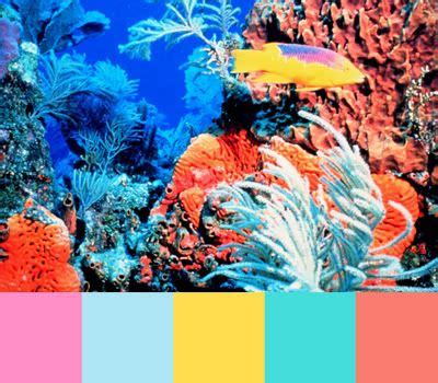 The color is named after the sea animal also called corals. Coral reef color palette (With images) | Coral reef color ...