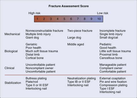 Pediatric Fracture Management Veterian Key