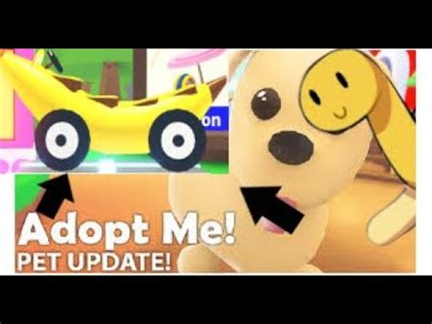 The adopt me team is currently working on a lunar update that will be released this month or in february 2021. GETTING A CAR IN ADOPT ME? TWITTER CODES? BETTER PETS ...
