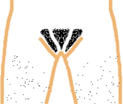 Download them for free in ai or eps format. Lets Talk about shaving: Female Pubic Hair Design Pictures
