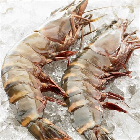 Frozen Black Tiger Shrimp With High Quality The Best Price Thailand