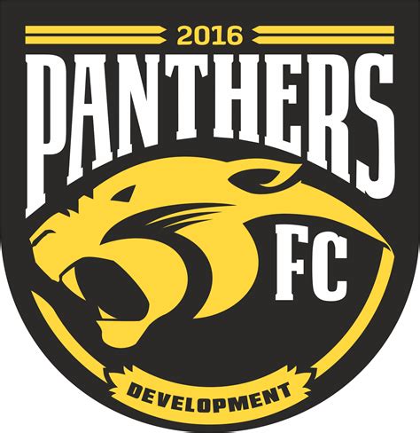 panthers fc soccer clinics