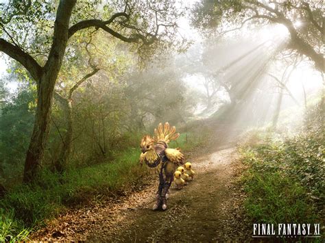 The game has four basic game modes: Final Fantasy XI Wallpaper and Background Image | 1600x1200 | ID:16571 - Wallpaper Abyss
