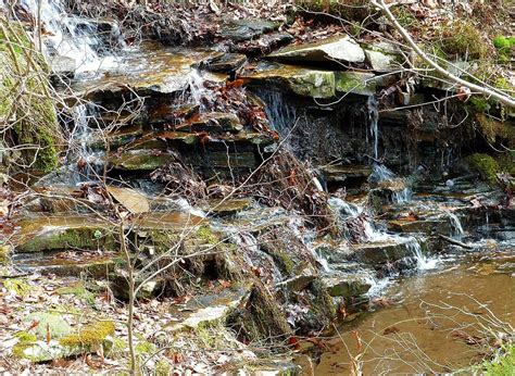 Cedar Creek Trail Stream Bluff Granger Meador Flickr