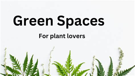 Green Spaces For Plant Lovers Youtube