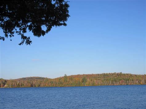 Sandy Shores Of Loon Lake Kearney Cottage Rental Pl 20841