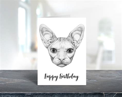 10 Pack Sphynx Cat Birthday Greeting Cards With Envelopes Etsy
