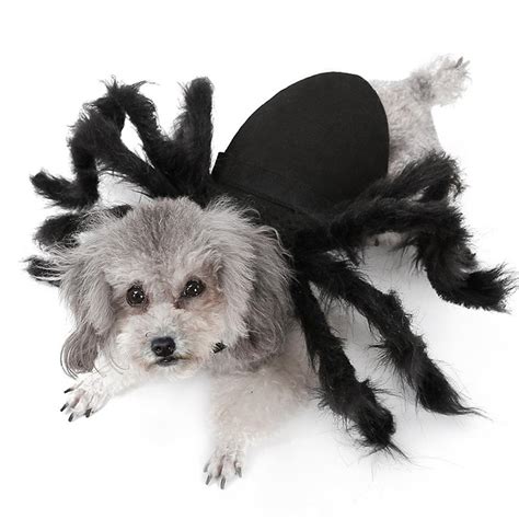 Halloween Pet Spider Clothes Dog Cat Costumes Horror Simulation Plush