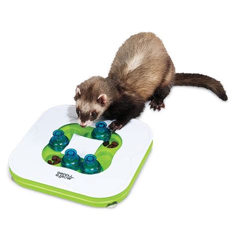 Toy Ferret Lovers