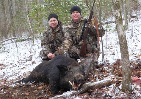 Tennessee Boar Hunting Photos Boar Hunting Tennesee Hog Hunting Lodge