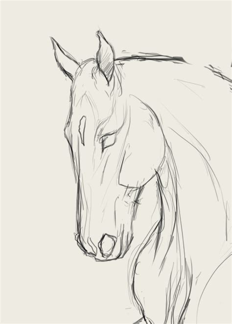 Anime Art Simple Horse Drawings Horse Art Drawing Horse Sketch