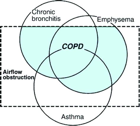 Asthma Chronic Obstructive Pulmonary Disease Copd And The Overlap