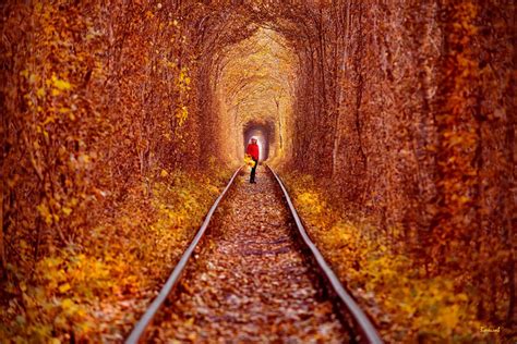 The Love Tunnel In Autumn Ukraine Paisagens Incriveis Lugares