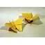 Zing Origami  Bugs And Insects