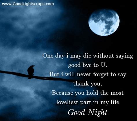 Inspirational good night quotes and sayings are the most beautiful way to wish your dearest once a beautiful good night's sleep. Good Night Quotes Pictures and Good Night Quotes Images with Message - 6