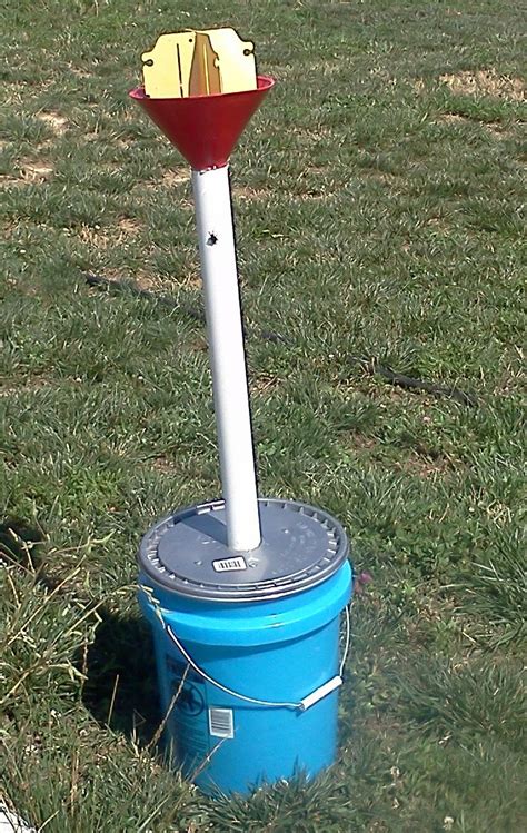 Japanese Beetle Trap We Just Attached The Vane And Lure From The Store