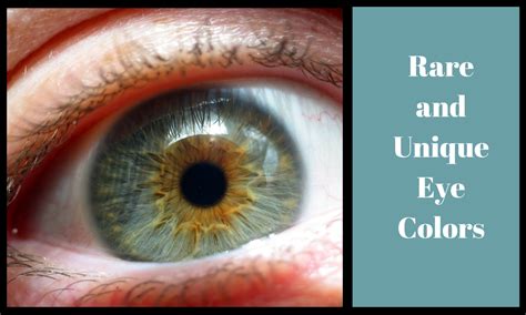 People with blue eyes have a completely colourless stroma with no pigment at all, and it also contains no excess collagen deposits. 6 Rare and Unique Eye Colors | Owlcation