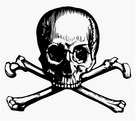 Skull And Crossbones Skull And Cross Bones Png Transparent Png