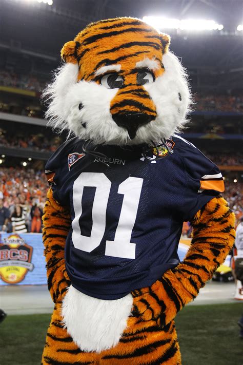 2011 College Football Ranking The 10 Best Mascots In The Top 25