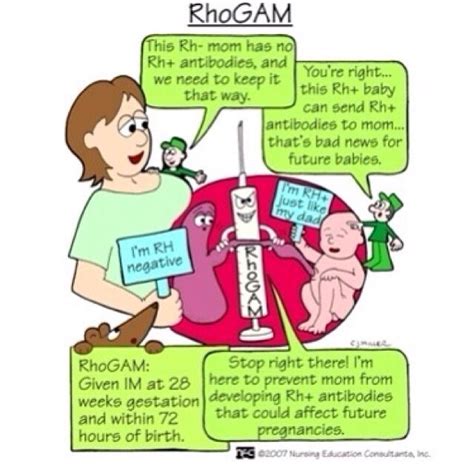 Rhogam 2x During Pregnancy Cause Mixing Of Blood Can Occur Before Birth