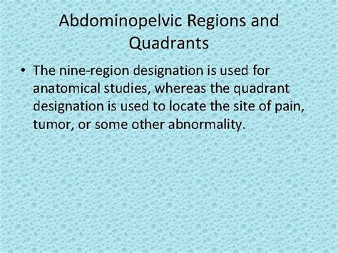 The posteromedial quadrant of the radial head is known to be different from the other quadrants. Anatomical Quadrants : 1.05 anatomical regions and ...