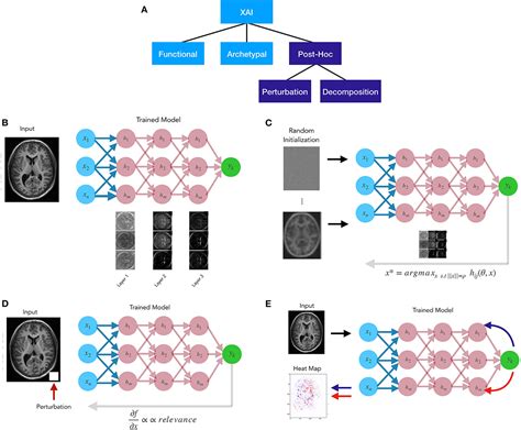 Frontiers Explainable Ai A Review Of Applications To Neuroimaging Data