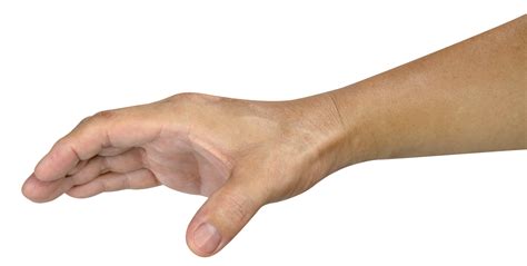 Hand Holding Something Isolated 23257823 Png