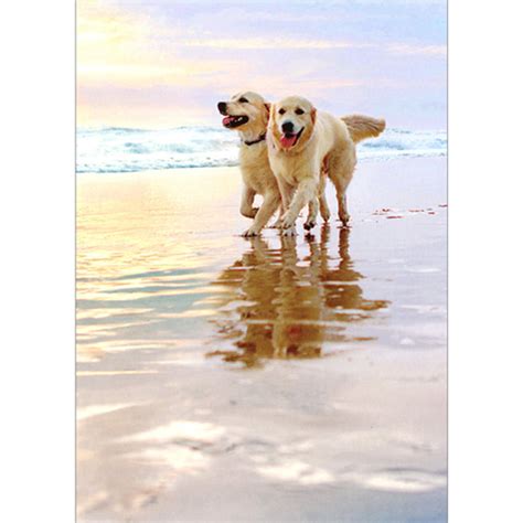 Golden Retriever Dogs Walking On Beach Anniversary Card