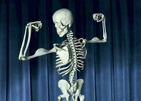 Become Anything Funny Skeleton Bone Strength Bone Health