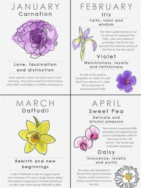 Birthday Month Flowers Flower Words Flower Guide Flower Meanings