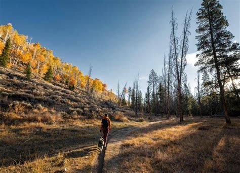 Road Map To Idaho S Fall Foliage Visit Idaho