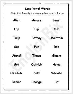 identify long vowel words   list englishbix