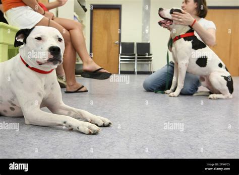 **ADVANCE FOR SUNDAY JULY 13** Sara Meehan, right, staff member of the