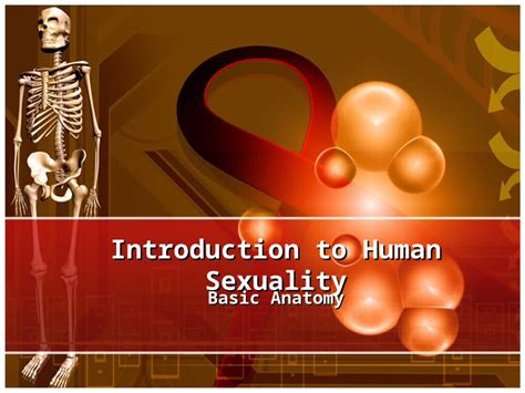 ppt introduction to human sexuality basic anatomy what is sexuality sexuality is an integral