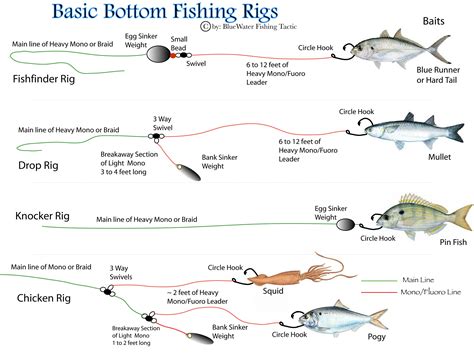 Basic Bottom Fishing Rigs Bluewater Fishing Tactics Bottom Fishing