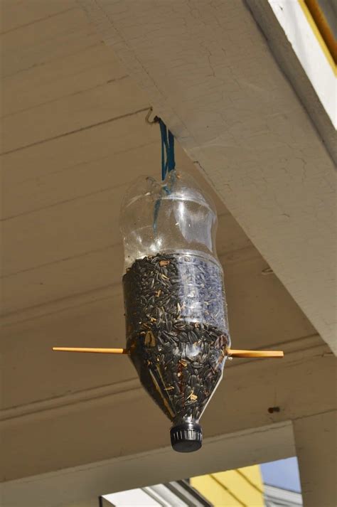 You might have to cover up the eating holes with your finger so the seeds stay in the bottle. Upcycling Old Water Bottles