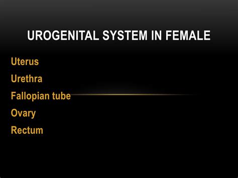 Ppt Urogenital System In Female Powerpoint Presentation Free