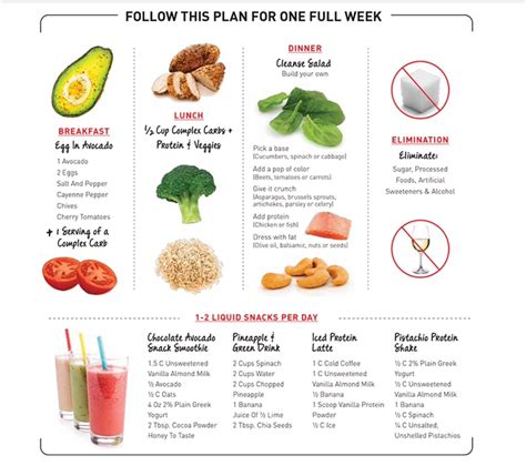 Dr Oz Plan For Flat Belly Best Weight Loss Plan Meal Plans To Lose