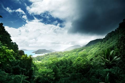 tropics, Scenery, Forests, Clouds, Jungle, Nature Wallpapers HD / Desktop and Mobile Backgrounds