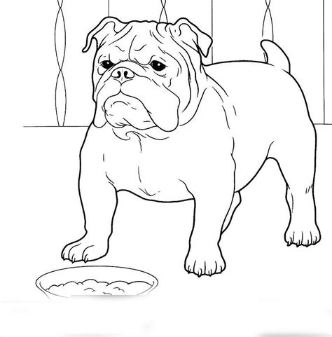 Check spelling or type a new query. Bulldog Coloring Pages to download and print for free