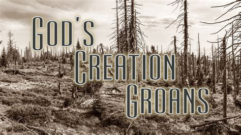 Gods Creation Groans Faithlife Sermons