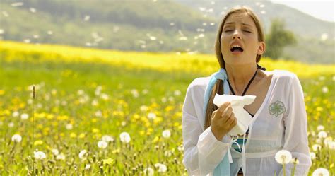 Hay Fever Causes Hay Fever Symptoms Rash Medication And Treatment