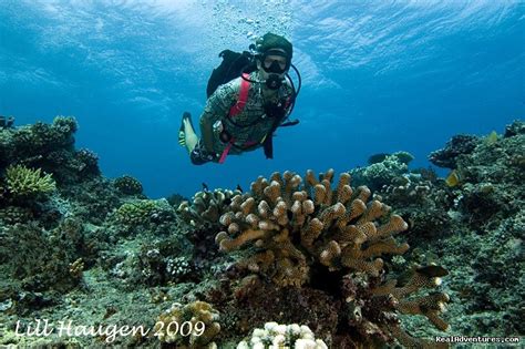 Dive Kadavu Matana Beach Resort Vunisea Fiji Hotels And Resorts