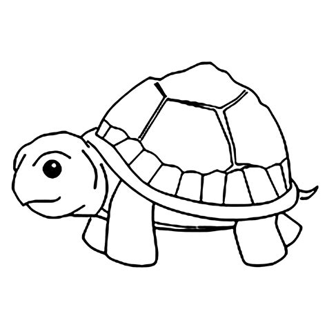 ️turtle Coloring Pages For Kids Free Download