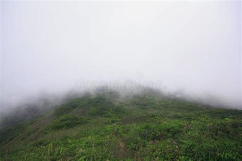 The Fog Moved Over The Mountains After The Rain Stock Image Image Of