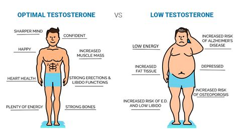 Low Testosterone Active Integrated Medical Center