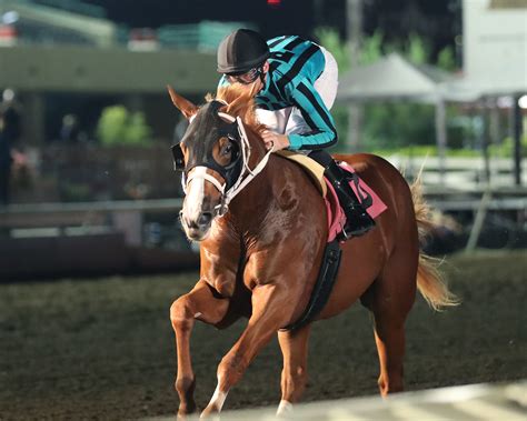 Two Phil's tries to show he's worthy of Kentucky Derby dreams in