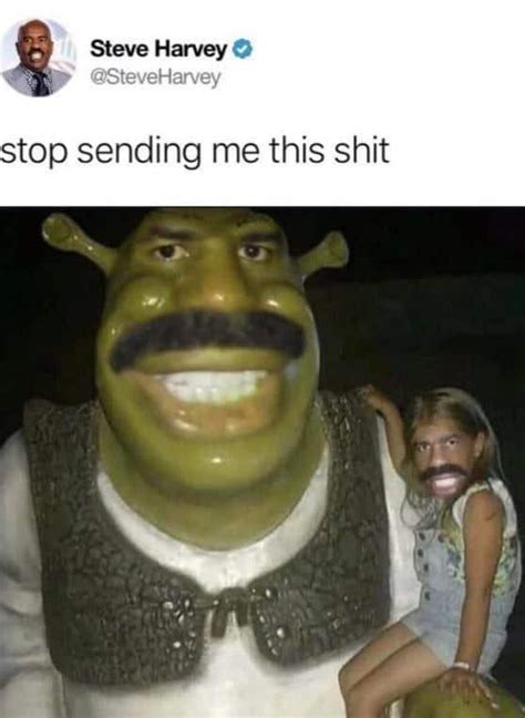 Steve Harvey X Shrek Rmemes