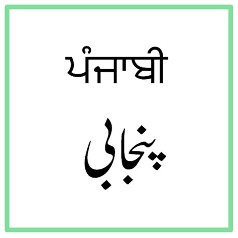 How To Preserve The Punjabi Language — American Pakistan Foundation